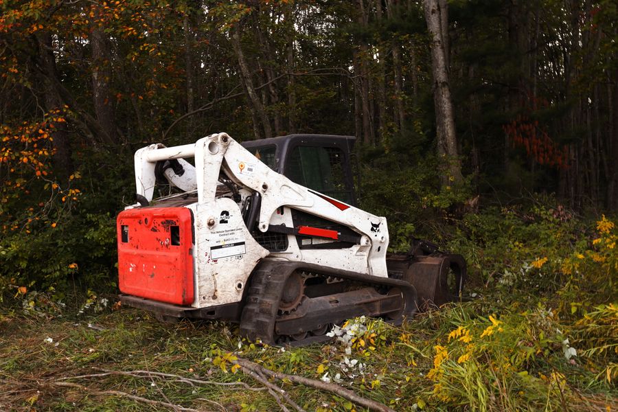 PLACEHOLDER - machine clearing in an autumn forest